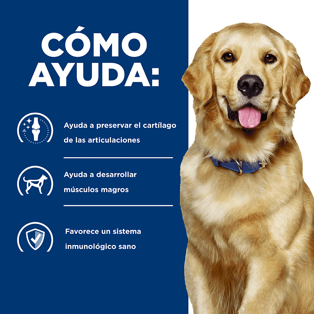 Hills Comida Para Perro Prescription Mobility J/D Pollo
