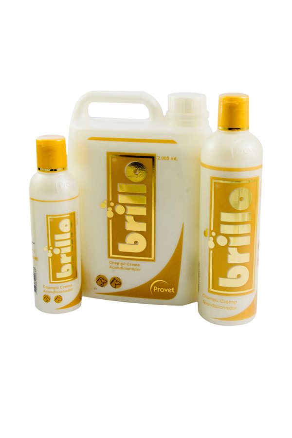Shampoo brillo