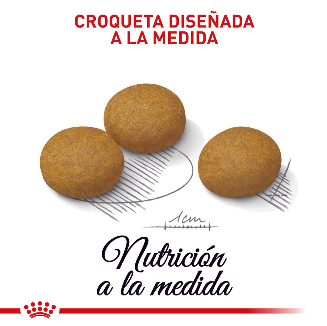 Royal Canin Dermacomfort Medium x 3 kg