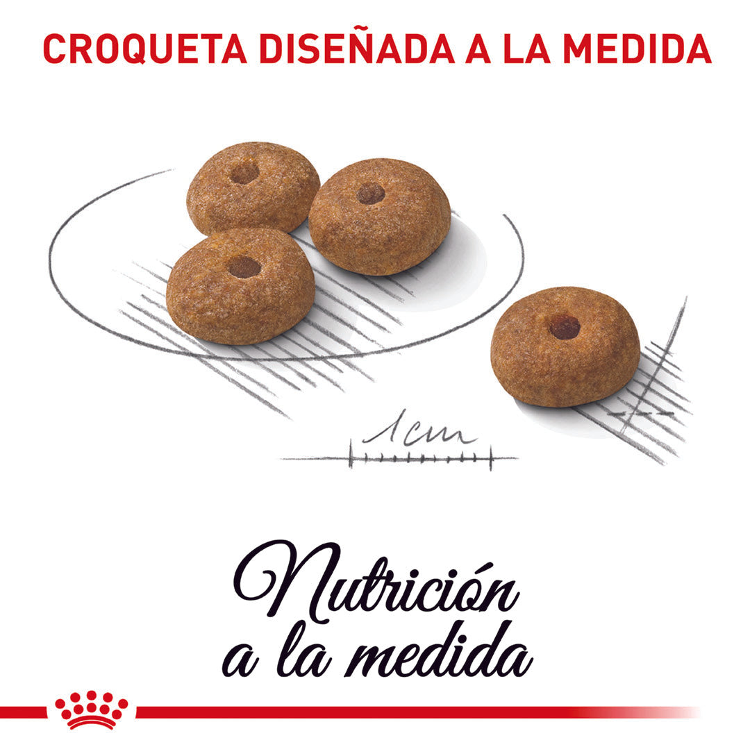 Royal Canin Sterilised Mini