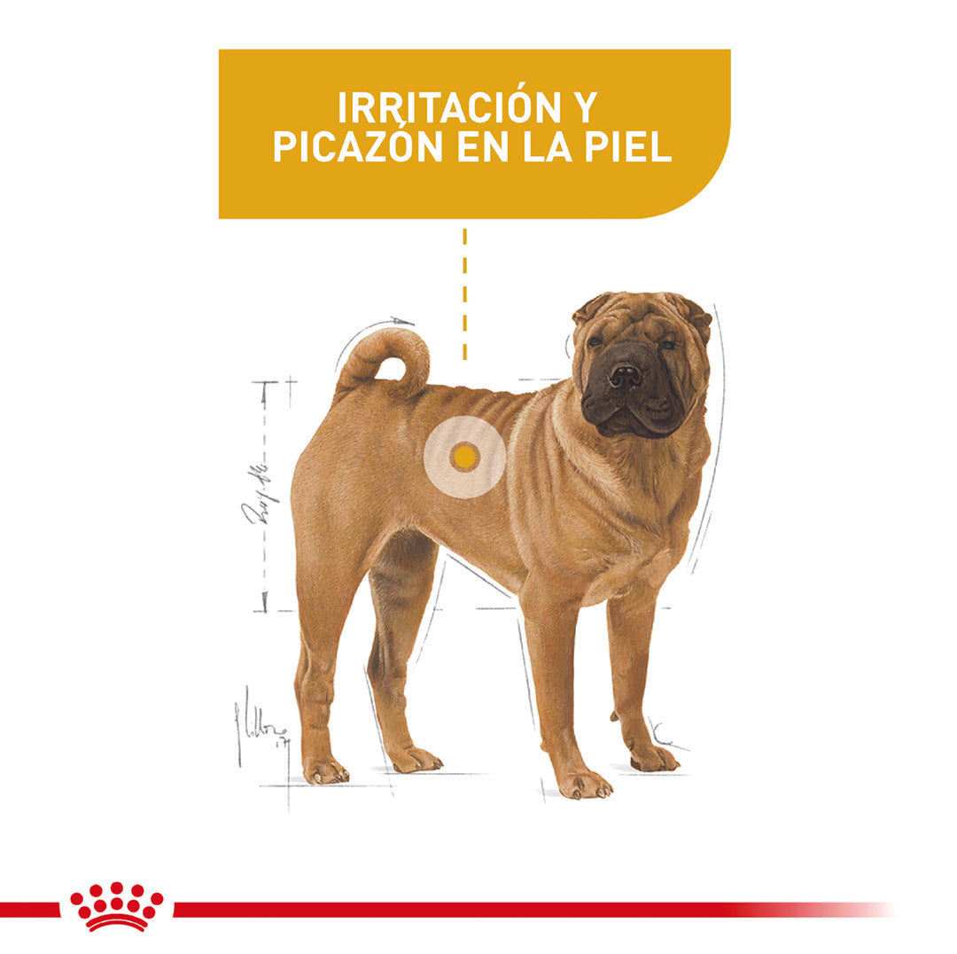 Royal Canin Dermacomfort Medium x 3 kg