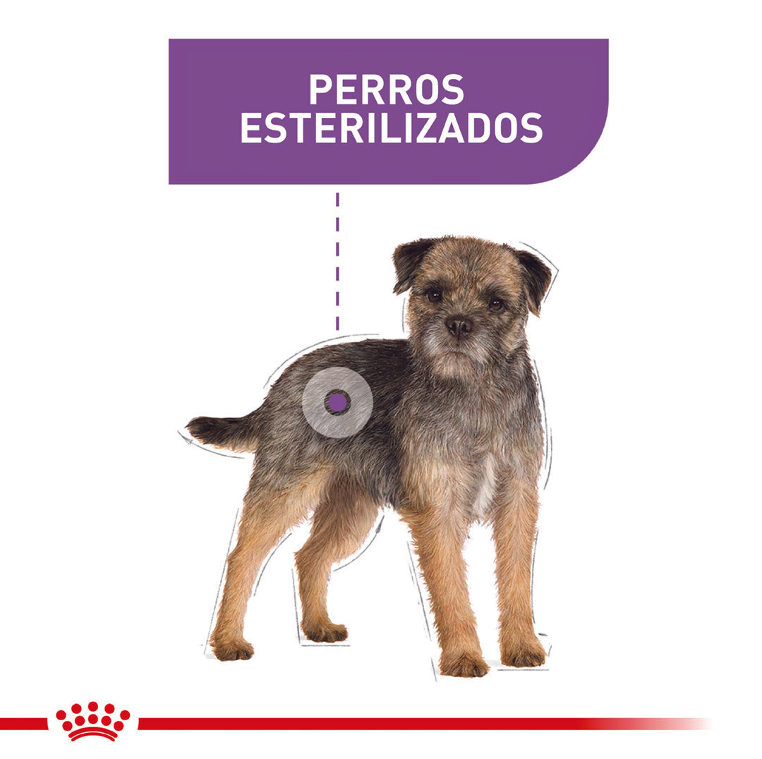 Royal Canin Sterilised Mini