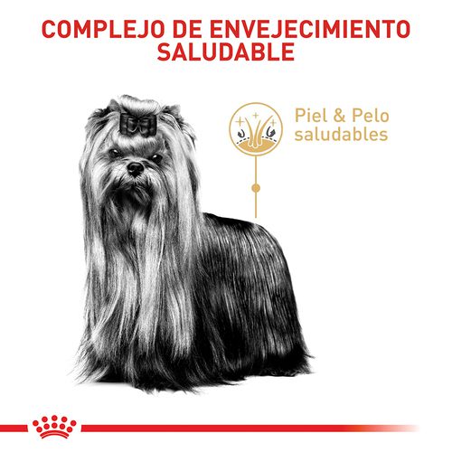 Royal Canin Yorkshire Terrier Adulto 8+ x 1.5 kg