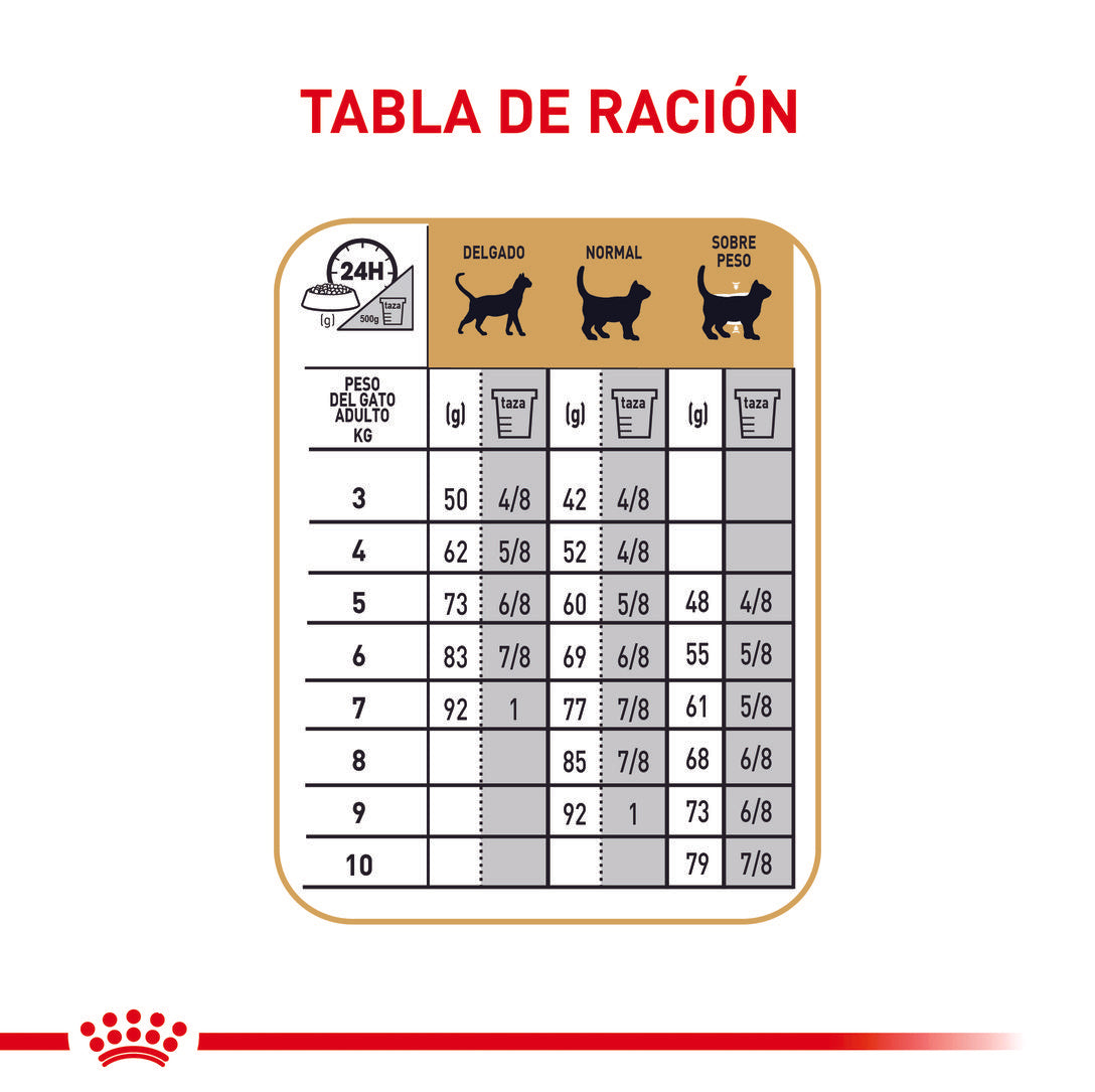 Royal Canin Maine Coon Adulto