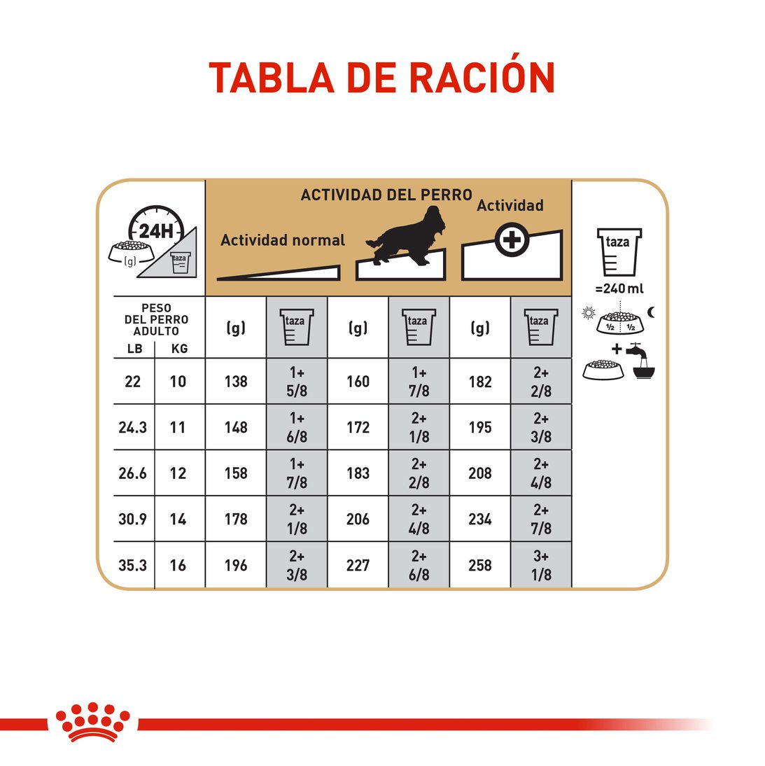 Royal canin cocker adulto 3 kg