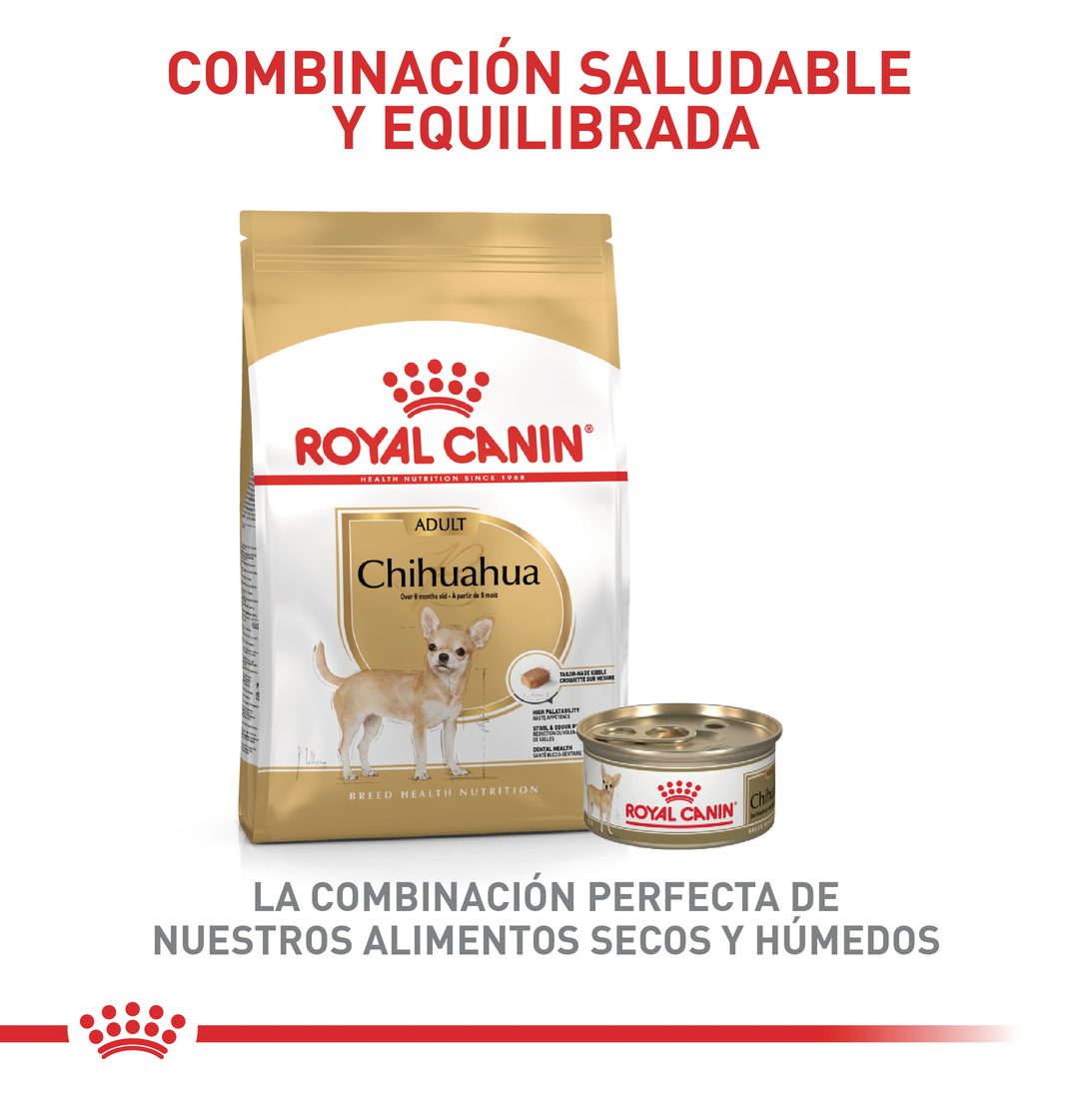 Royal Canin Chihuahua Adulto