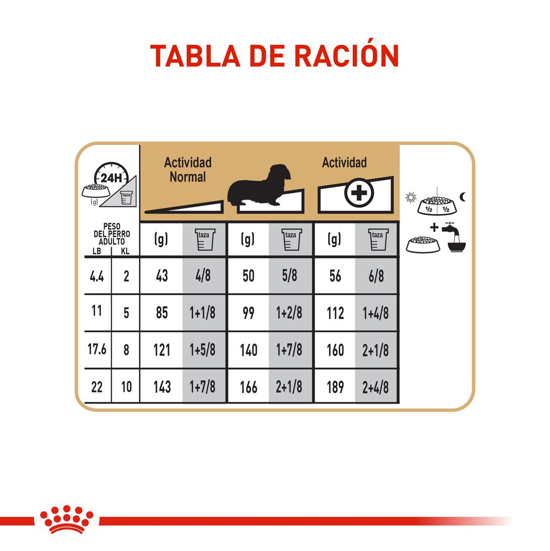Royal Canin Dachshund Adulto x 1.5 kg
