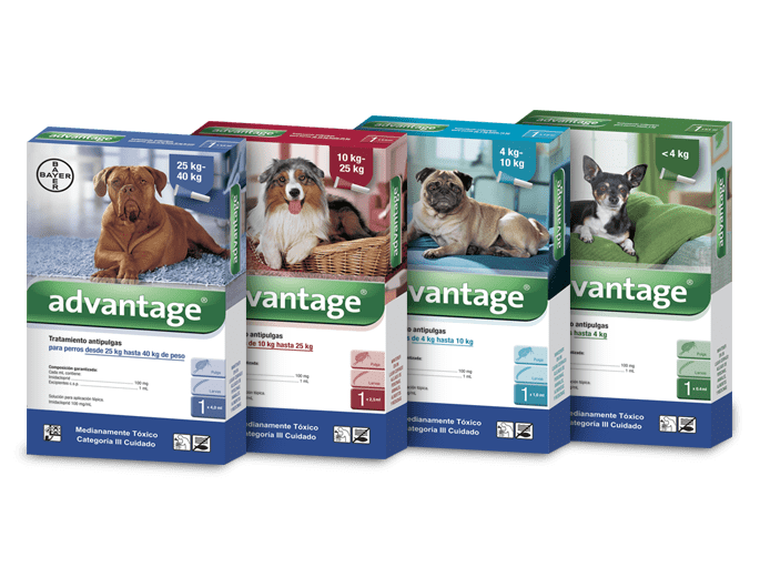 Advantage Perros