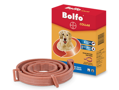 Bolfo Collar Insecticida
