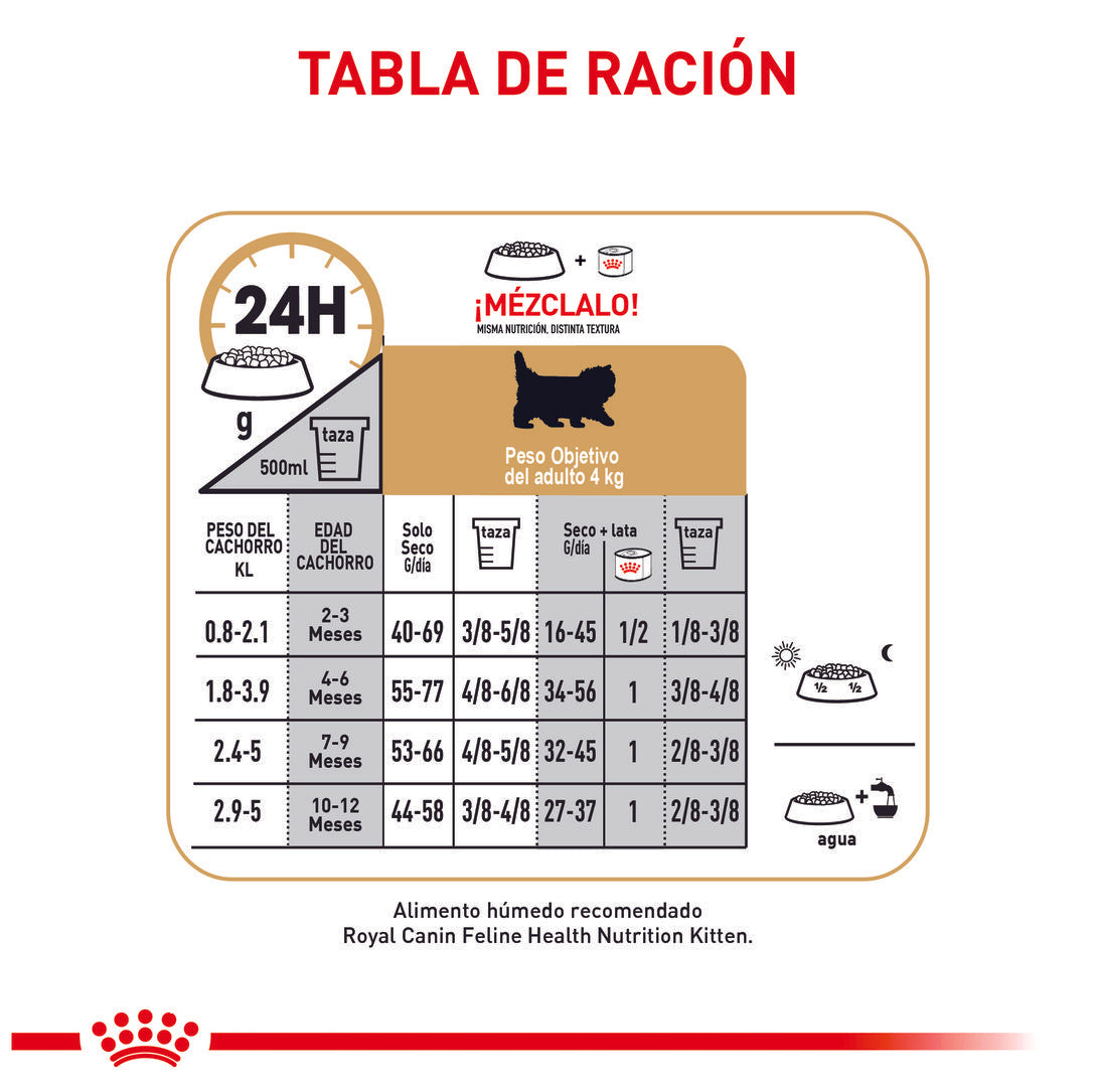 Royal Canin Persa Kitten x 2 kg