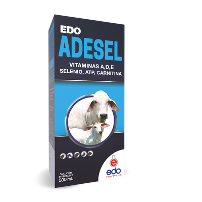 Edo Adesel