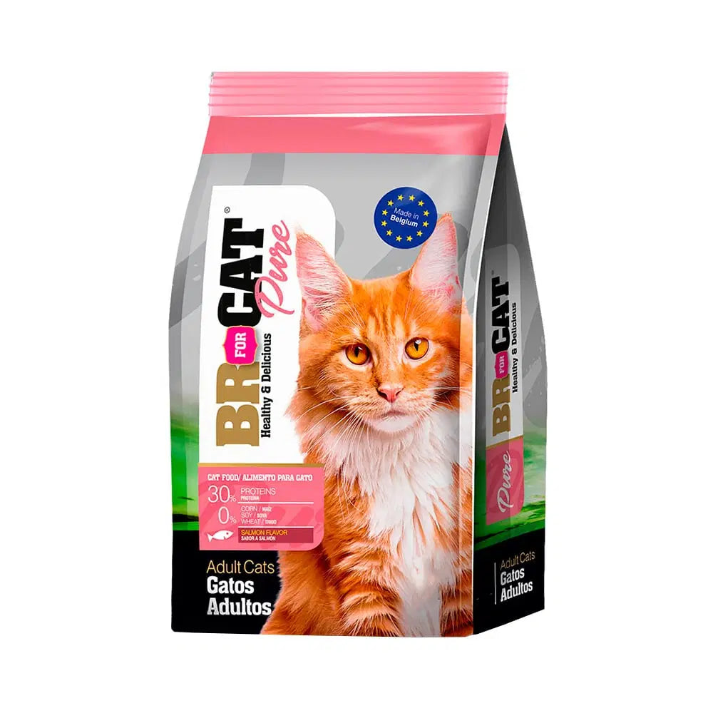 Imagen de bolsa de alimento para gatos adultos sabor salmón de 1 kilo