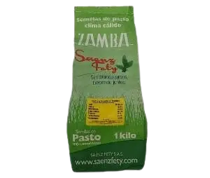 Brachiaria Brizanta Marandu x 1 kg: Pasto para Pastoreo y Henificación