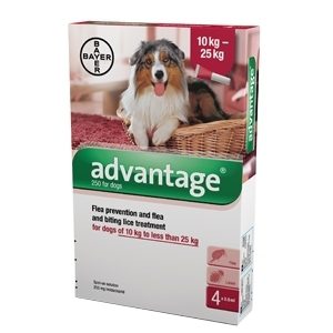 Advantage Perros