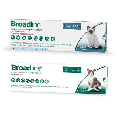 Broadline gato