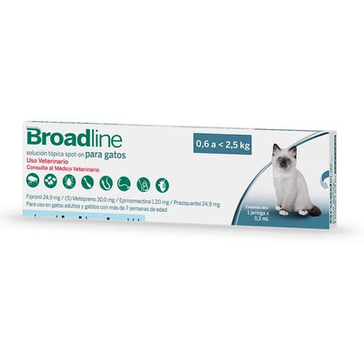 Broadline gato