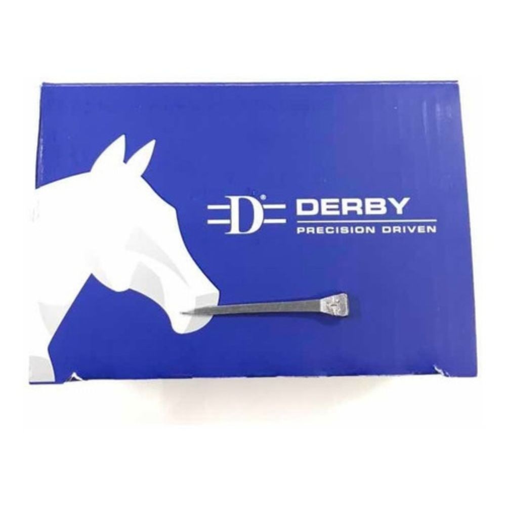 CLAVOS DERBY