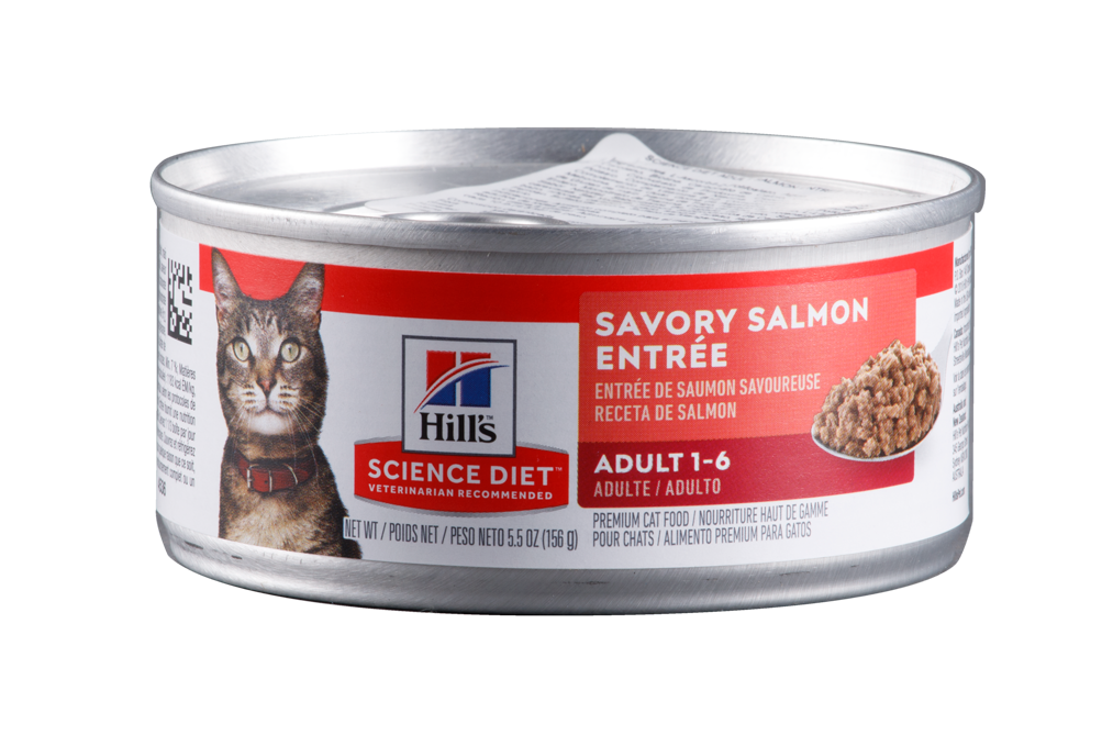 Hills Comida Húmeda Para Gato Salmon 5,5 Onz