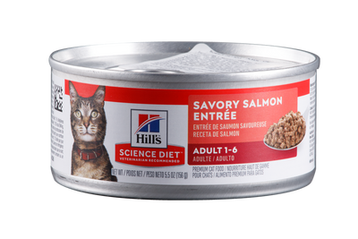 Hills Comida Húmeda Para Gato Salmon 5,5 Onz