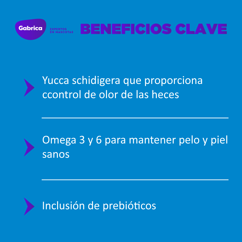 Kody Comida Para Perro Adulto