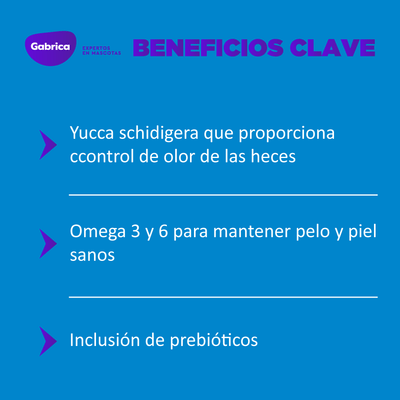 Kody Comida Para Perro Adulto