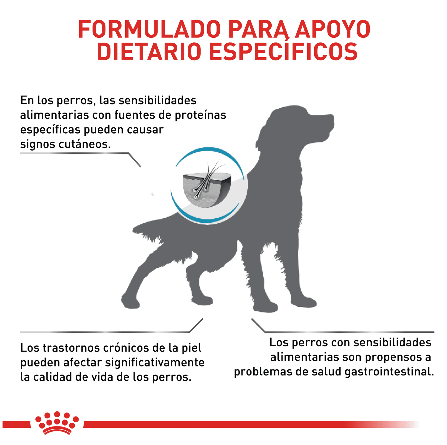 Royal Canin Anallergenic Perro x 3 kg