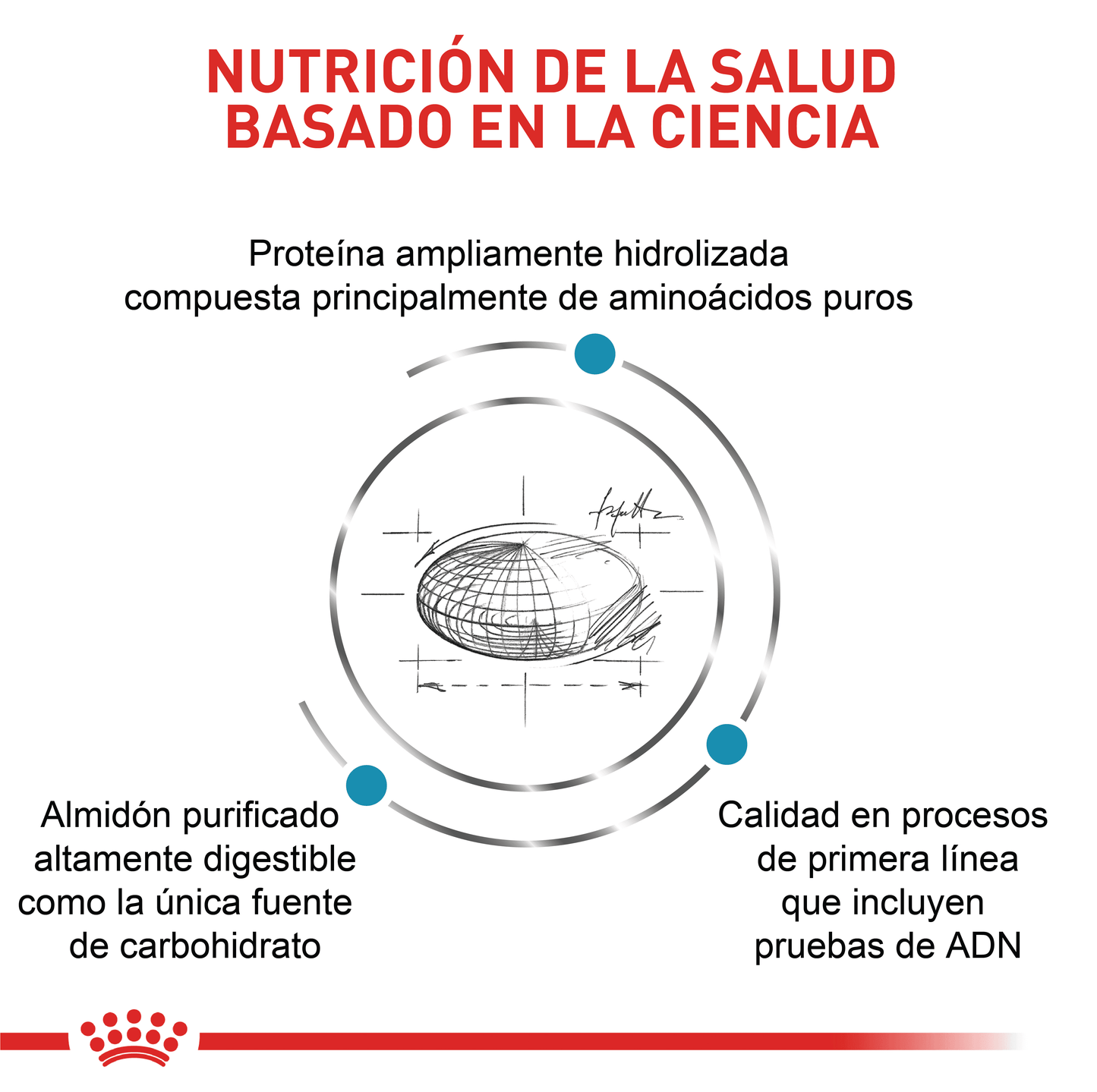 Royal Canin Anallergenic Perro x 3 kg