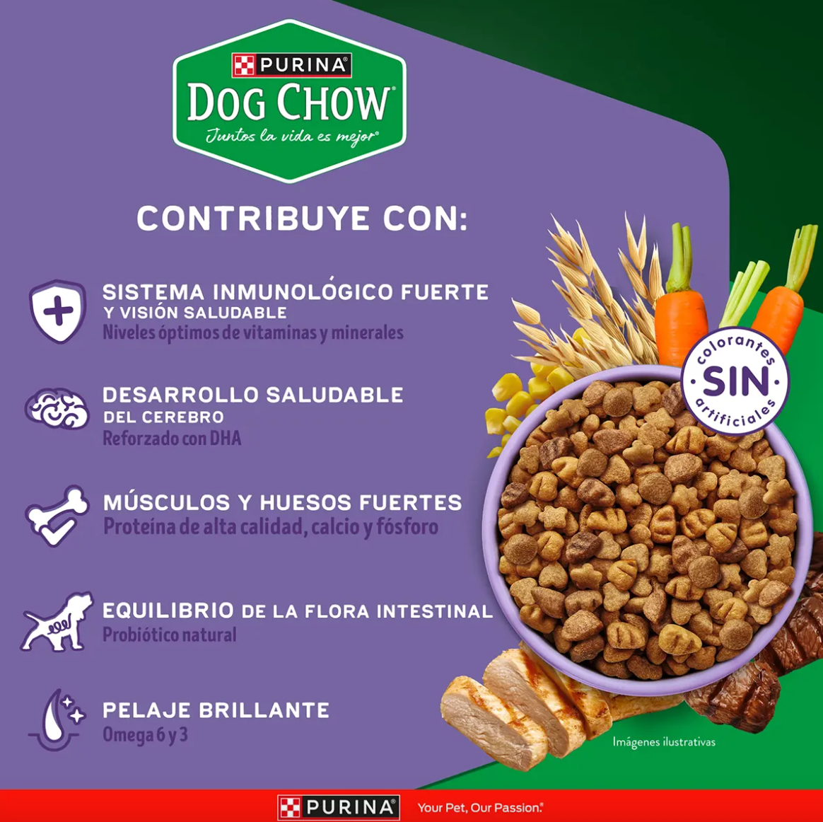 Purina® Dog Chow® Alimento para Perro Cachorros Gran Comienzo® Minis y Pequeños
