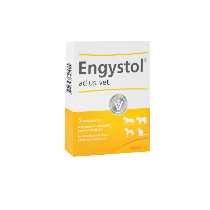 Engystol ad us vet Inyectable X Ampolla