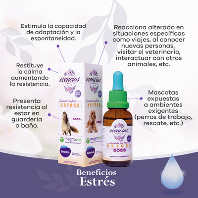 Esencia Floral Estrés Gotas x 30 ml