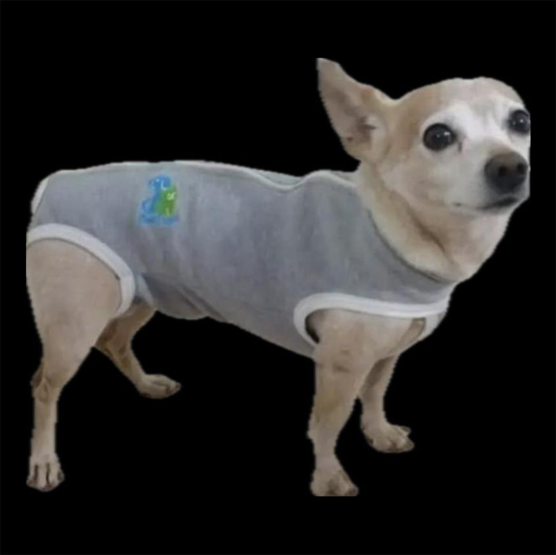 Fajas Post Quirúrgicas para Perros y Gatos