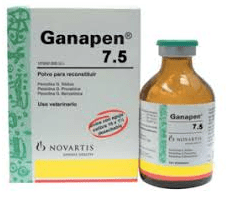 Ganapen inyectable
