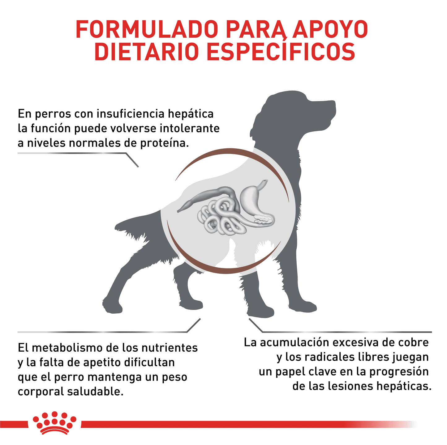 Royal Canin Hepático Perro