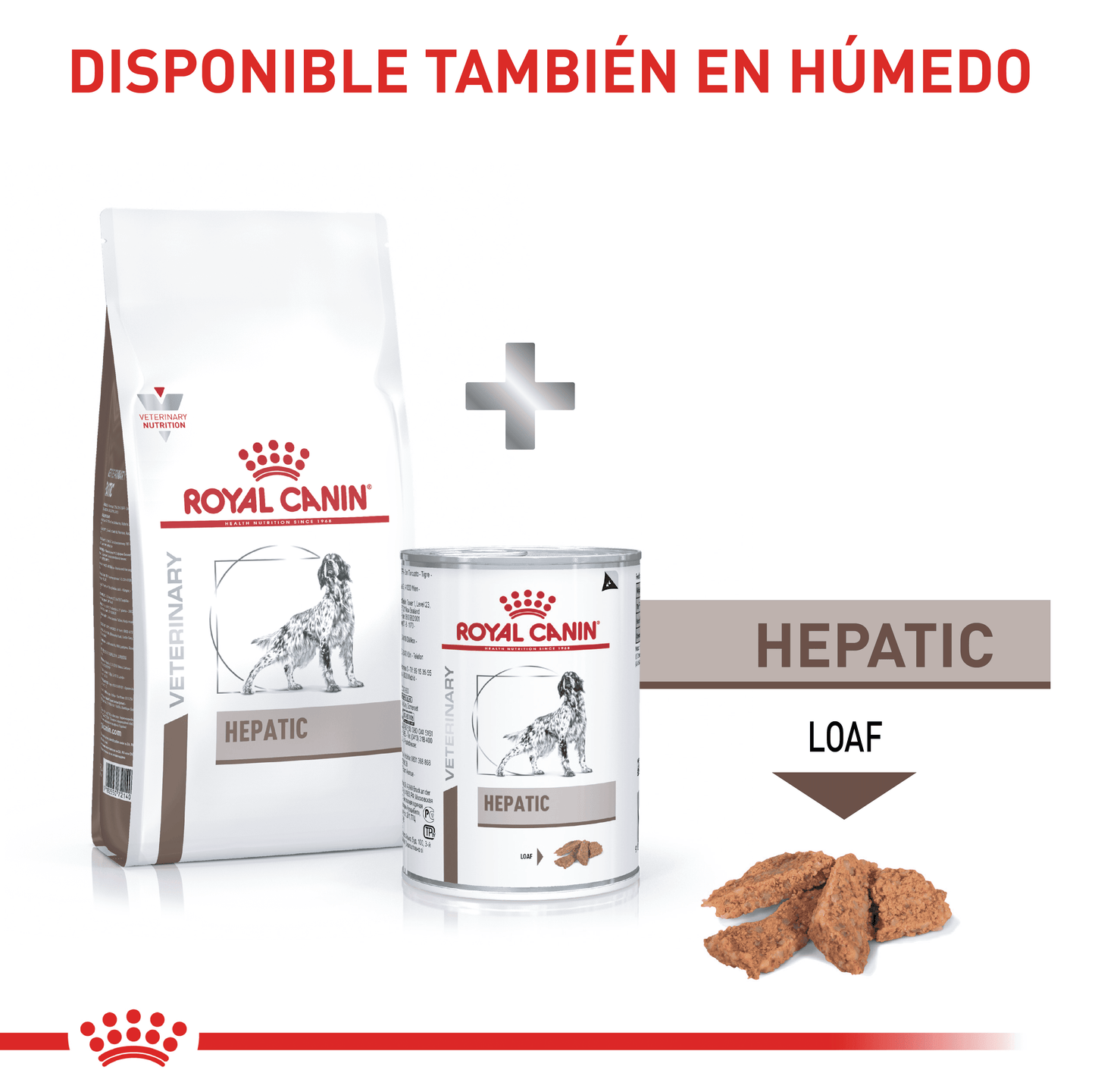 Royal Canin Hepático Perro