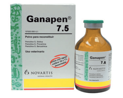 Ganapen inyectable