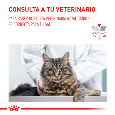 Royal Canin Hepatic Gato x 2 kg