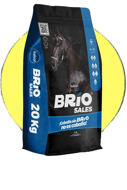 ITALCOL BRIO SALES