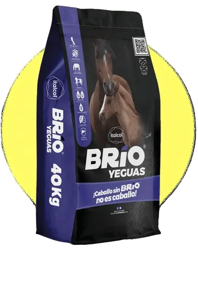 Italcol Brio Yeguas x 40 kg - Alimento para yeguas en gestación y lactancia
