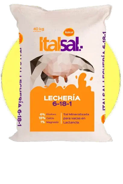 Sal mineralizada ITALSAL 6.18.1 Lechería 40 kg