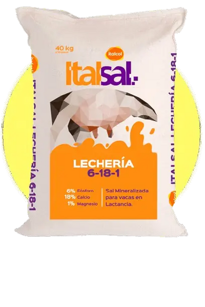 Sal mineralizada ITALSAL 6.18.1 Lechería 40 kg