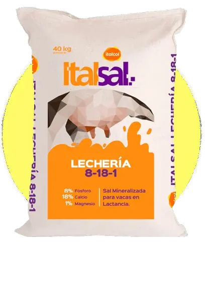 Sal mineralizada ITALSAL 8.18.1 Lechería 40 kg