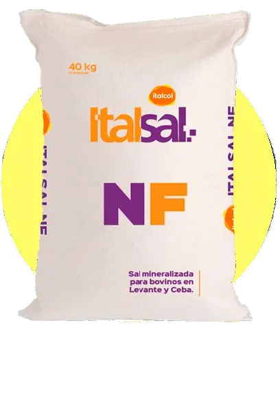 Sal mineralizada ITALSAL NF 1 kg