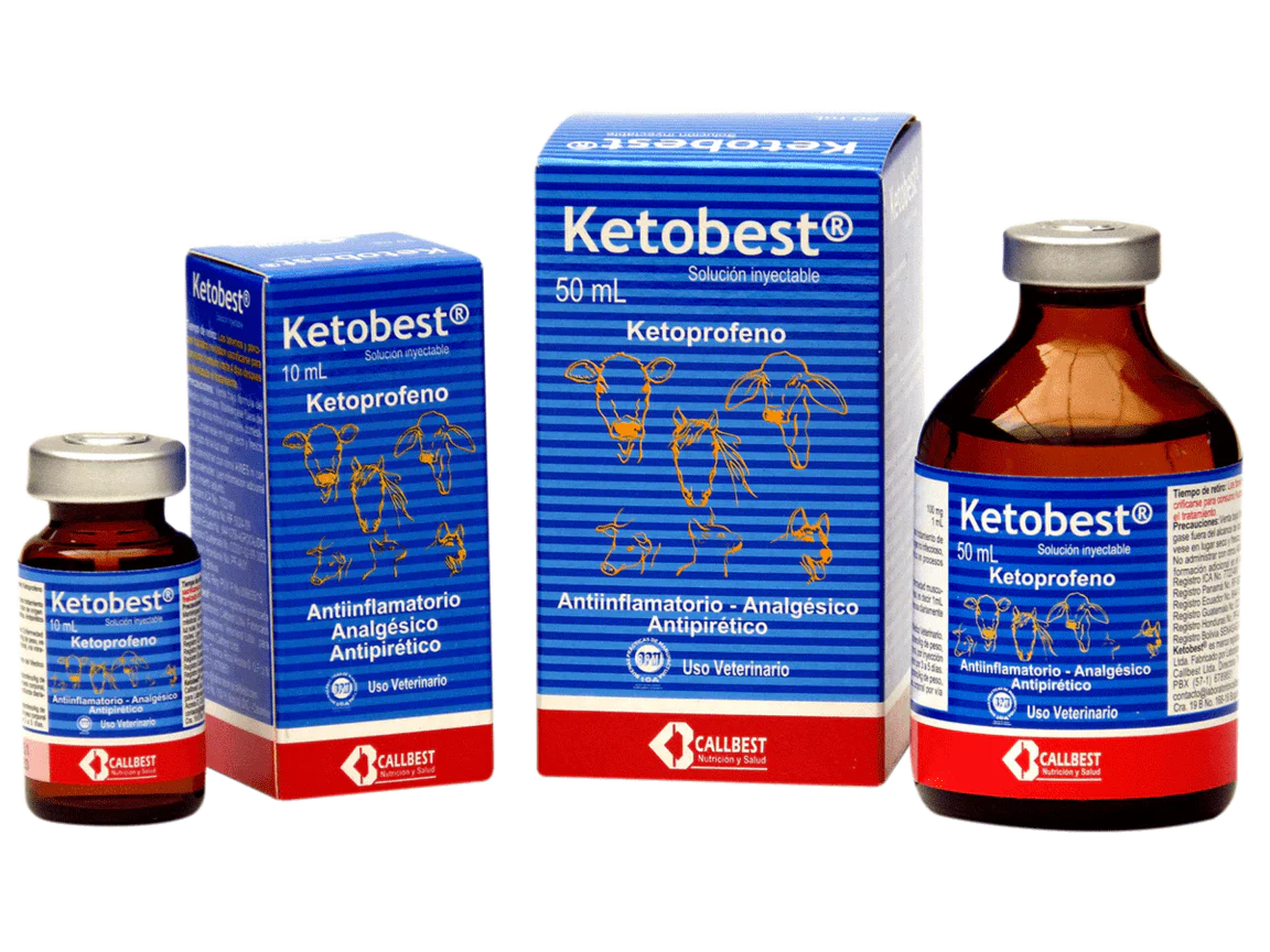 KETOBEST antiinflamatorio, analgésico y antipirético para animales