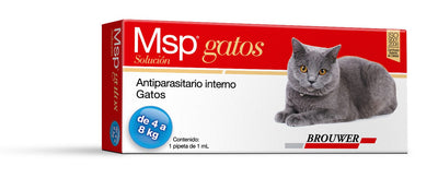 Msp gatos