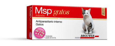 Msp gatos