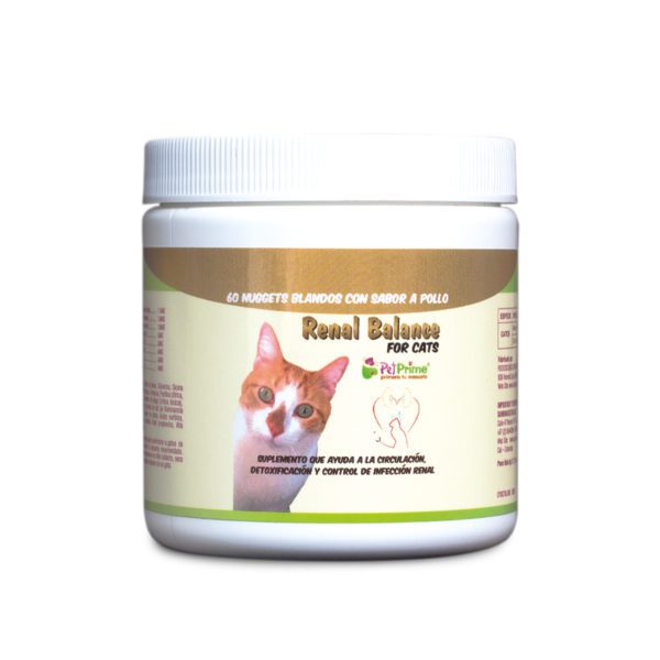 Renal balance gatos