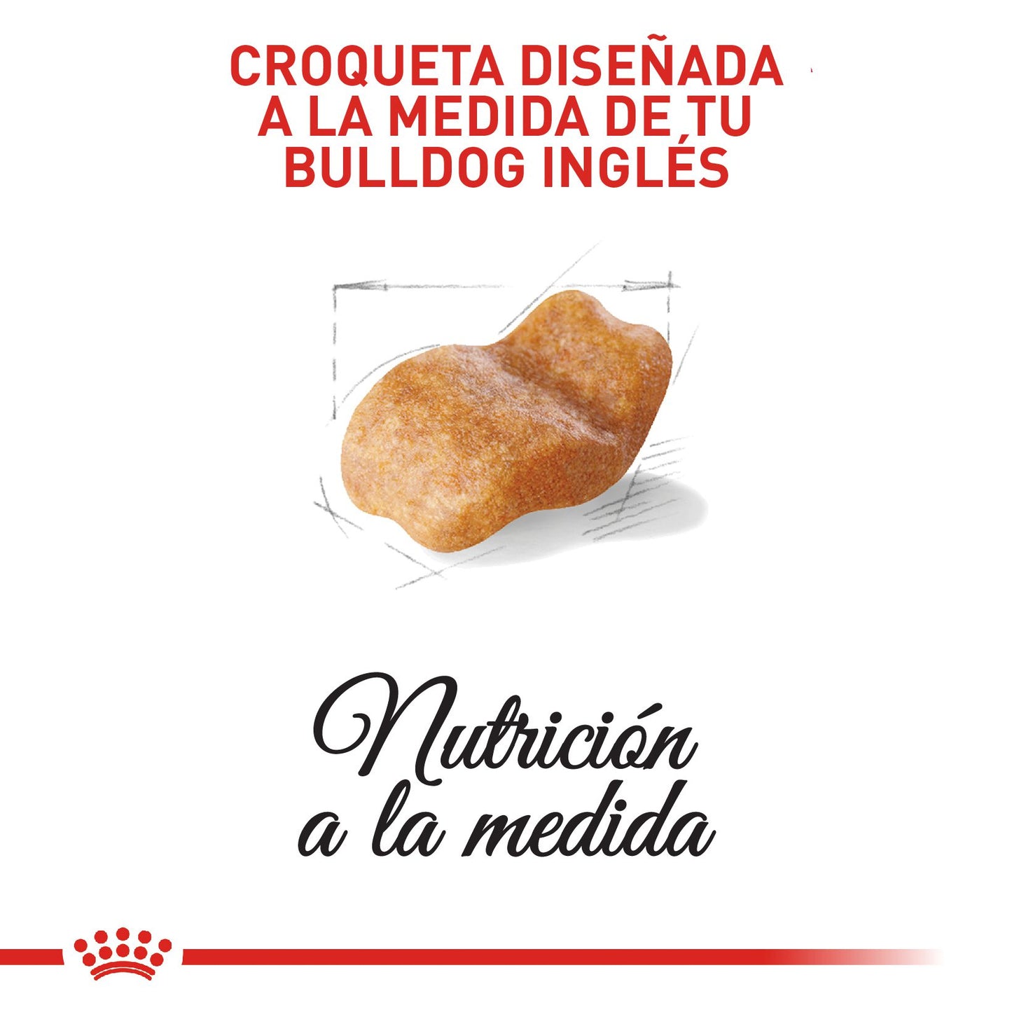 Royal Canin Bulldog Inglés Adulto