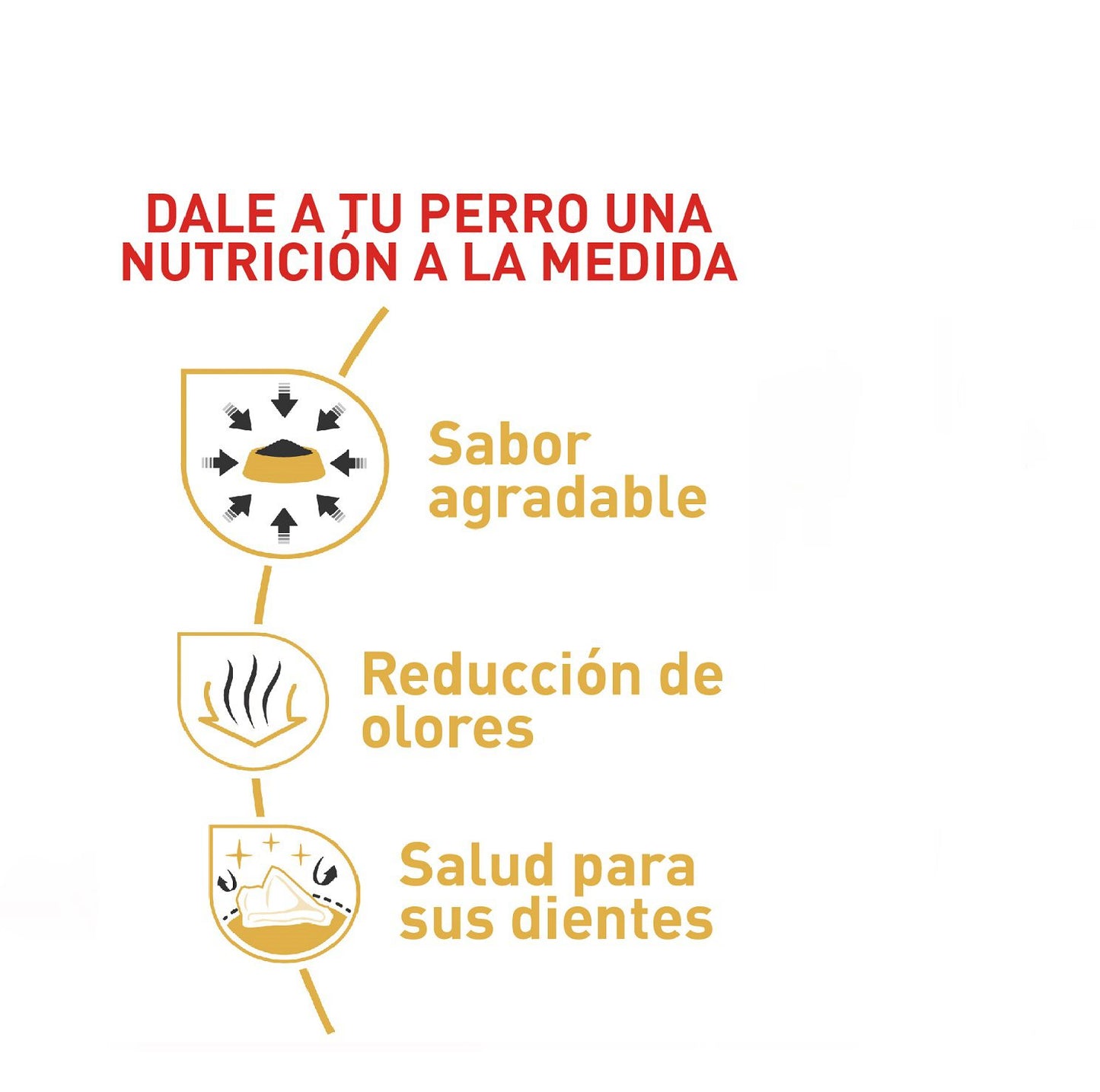 Royal Canin Chihuahua Adulto