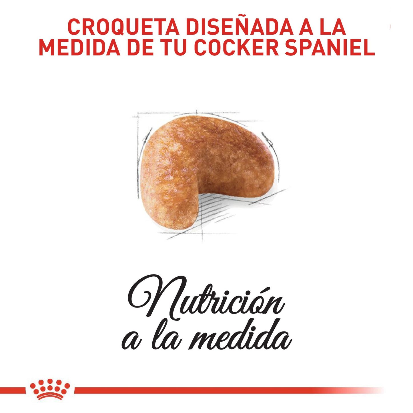 Royal canin cocker adulto 3 kg