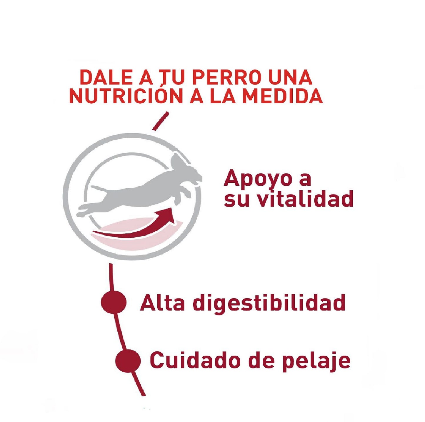 Royal Canin Medium Adulto +7 años x 4 kg